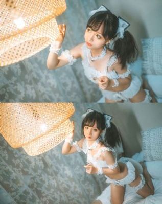 细狗视频vip